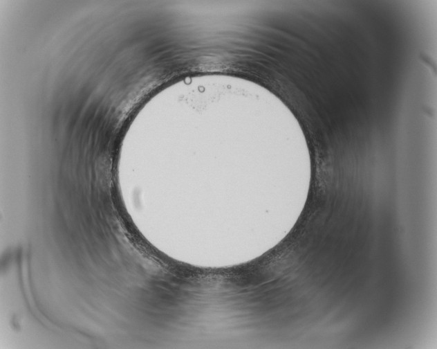 X0000103910530200810171707