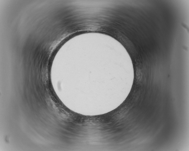 X0000103910532200810171707
