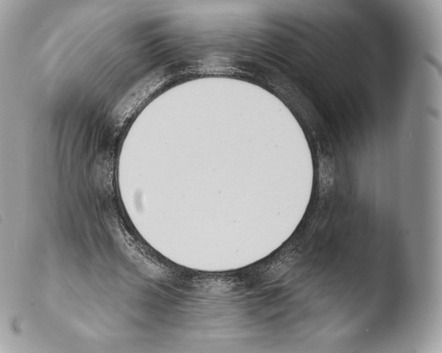 X0000103910533200810171707