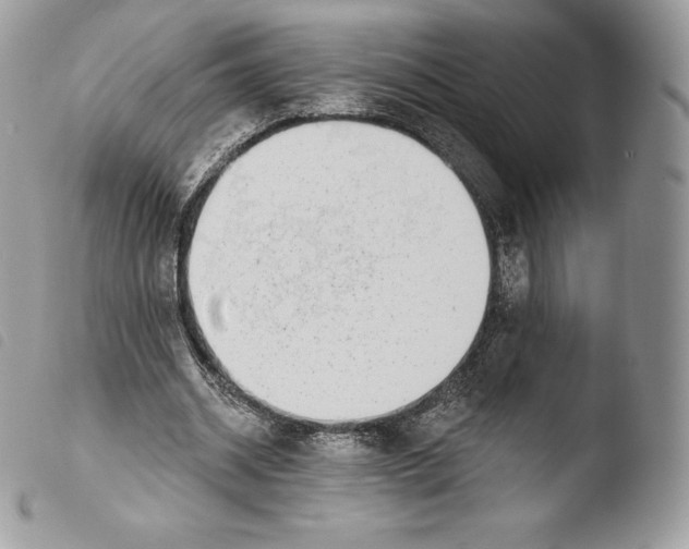 X0000103910534200810171707