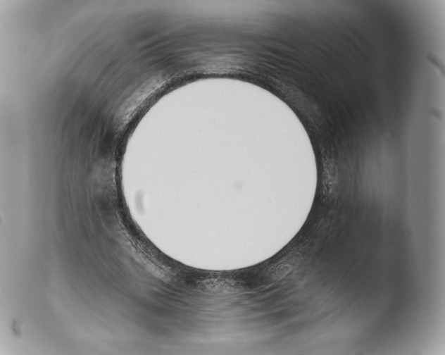 X0000103910535200810171707