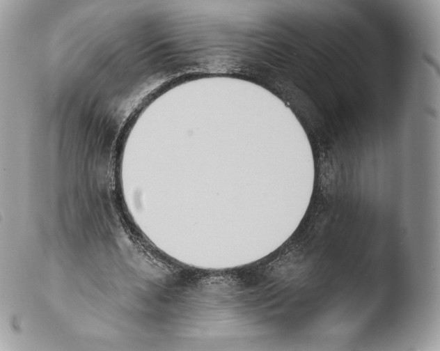 X0000103910536200810171707