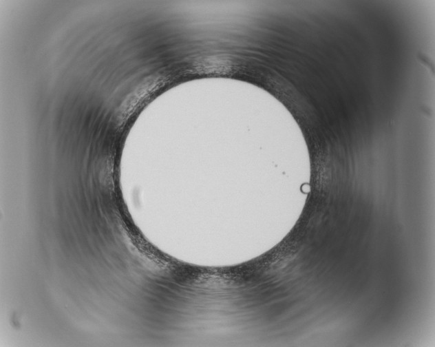 X0000103910538200810171707