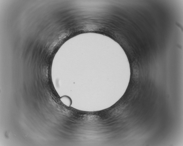 X0000103910539200810171707