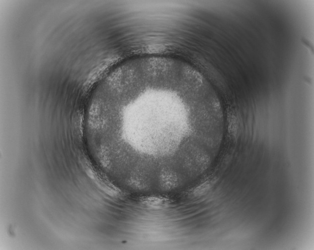 X0000103910542200810171707