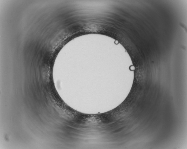 X0000103910544200810171707