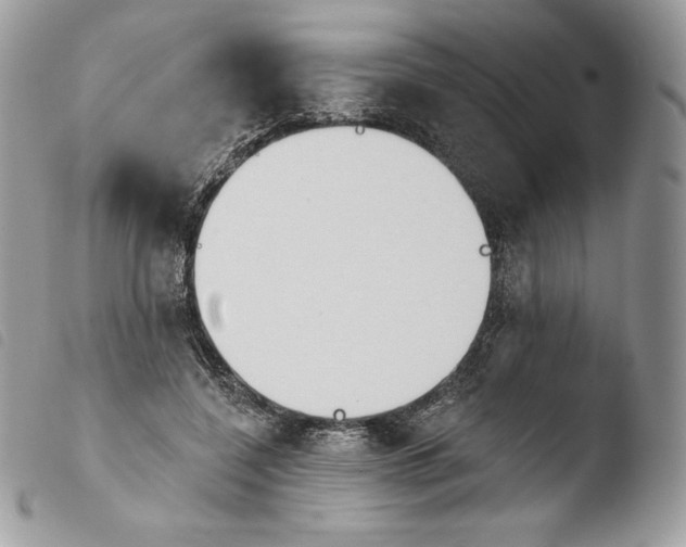 X0000103910548200810171707