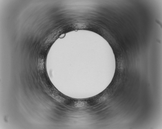 X0000103910549200810171707