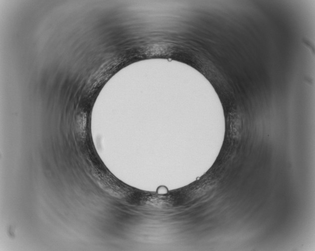 X0000103910550200810171707