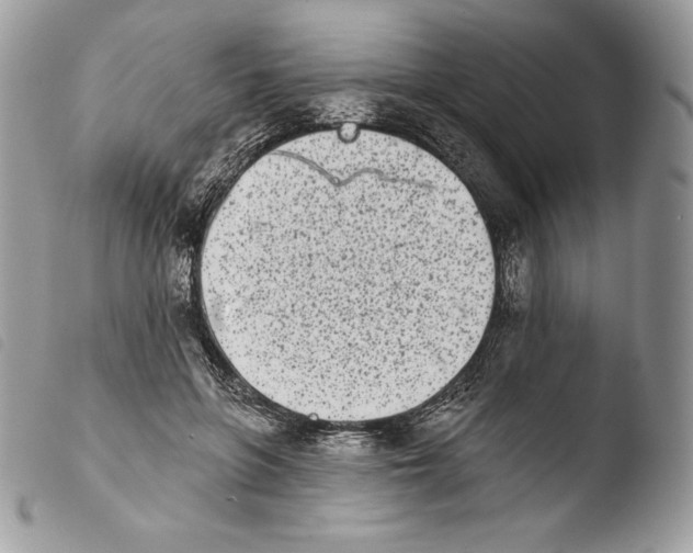 X0000103910551200810171707