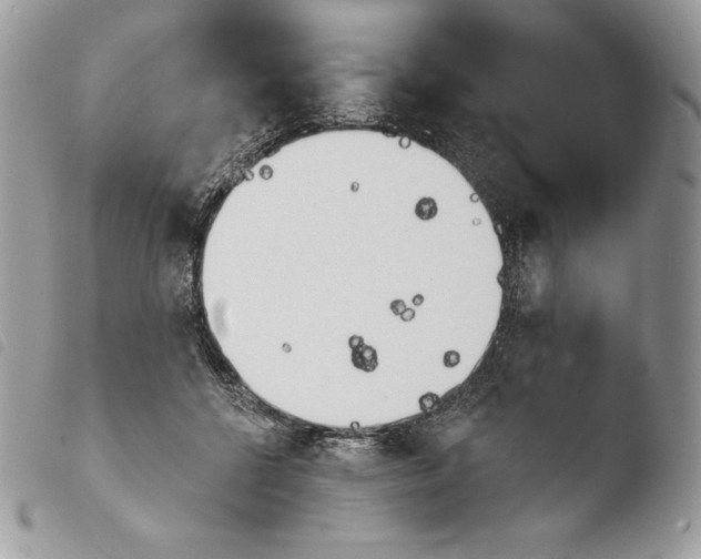 X0000103910552200810171707