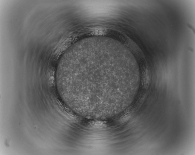 X0000103910553200810171707