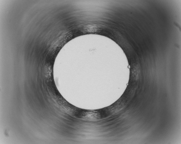 X0000103910555200810171708