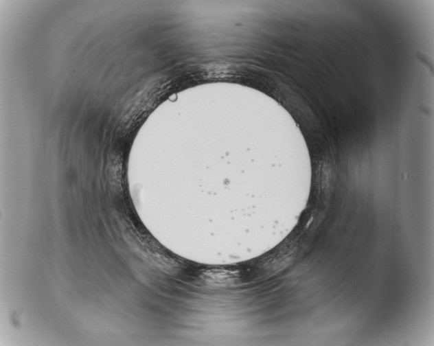 X0000103910557200810171708