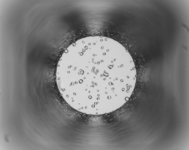 X0000103910560200810171708