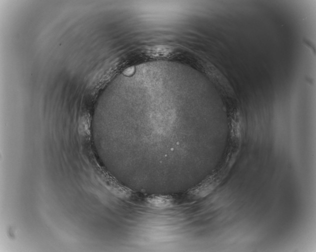X0000103910561200810171708