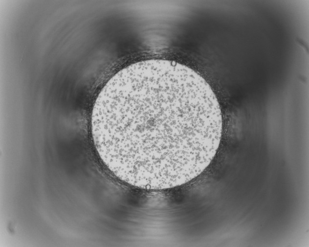 X0000103910562200810171708