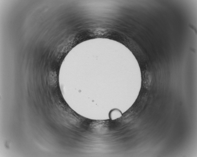 X0000103910563200810171708