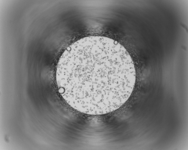 X0000103910564200810171708