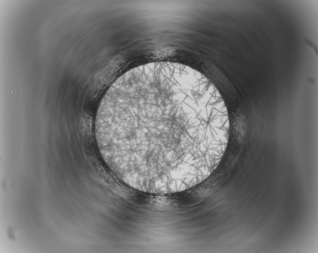 X0000103910565200810171708