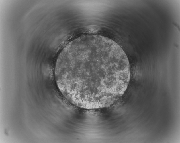 X0000103910568200810171708