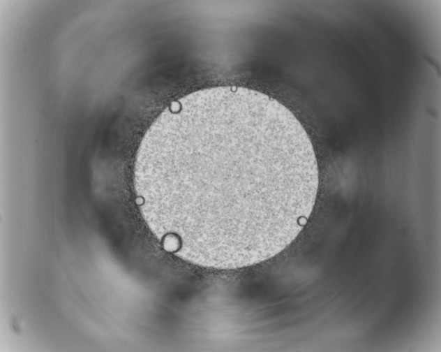X0000103910572200810171708