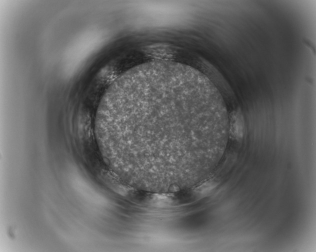 X0000103910573200810171708