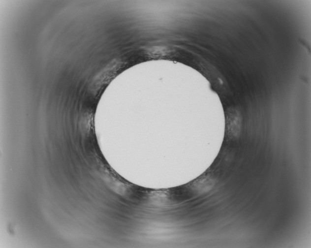 X0000103910574200810171708
