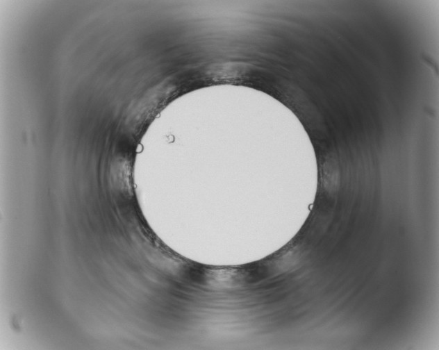 X0000103910575200810171708