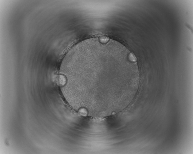 X0000103910576200810171708
