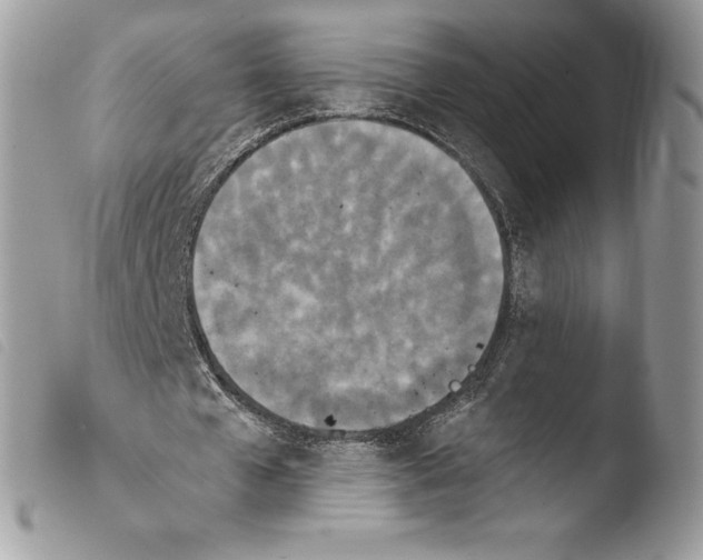 X0000103910577200810171707