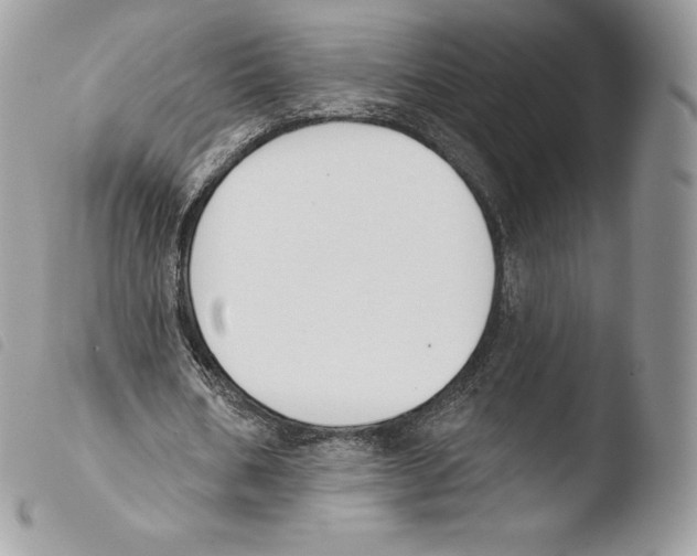 X0000103910578200810171707