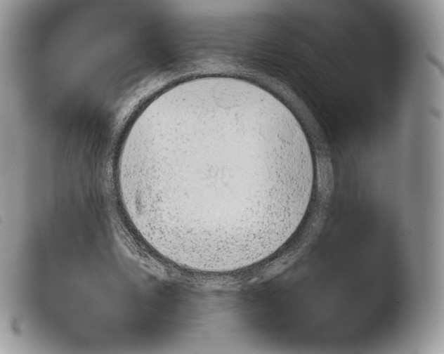 X0000103910579200810171707