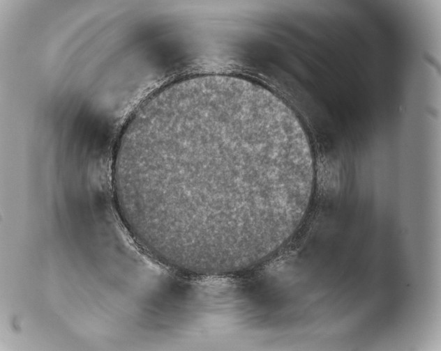 X0000103910581200810171707