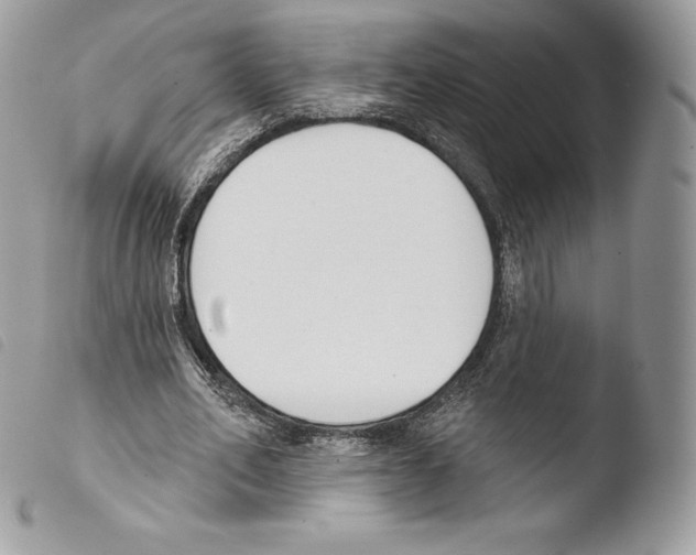 X0000103910582200810171707