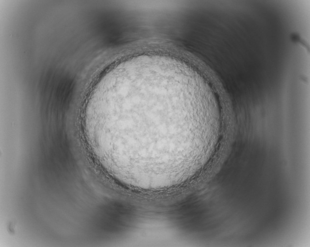 X0000103910583200810171707