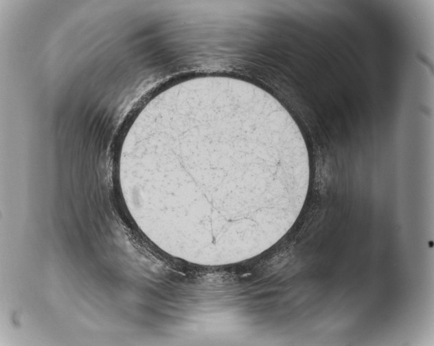 X0000103910584200810171707