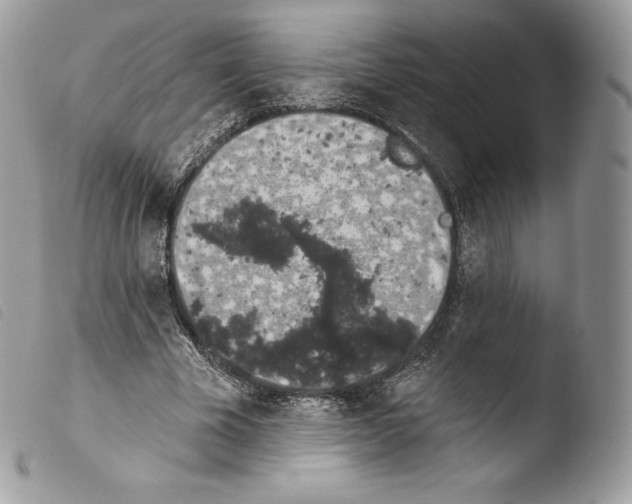 X0000103910585200810171707