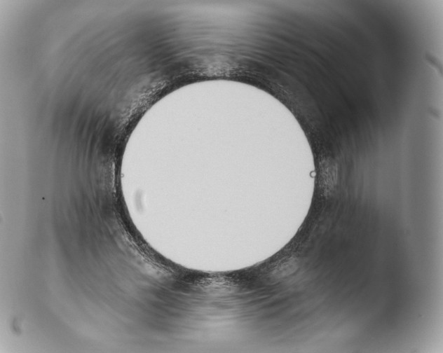 X0000103910589200810171707