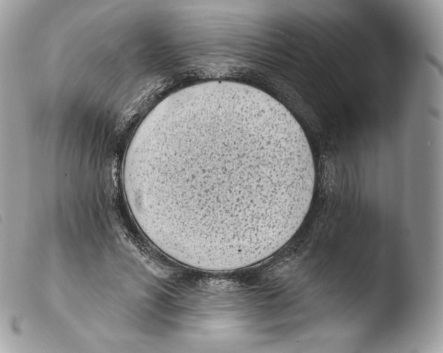 X0000103910590200810171707