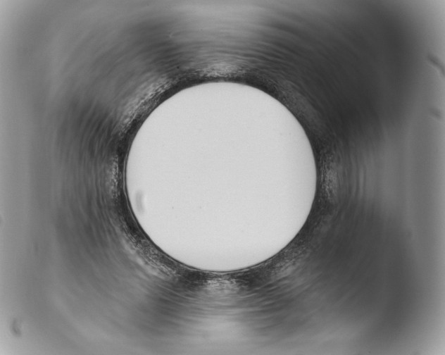 X0000103910591200810171707