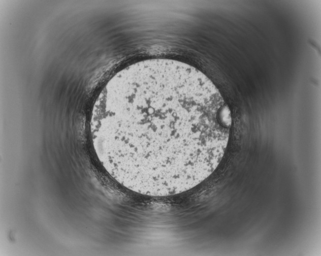 X0000103910592200810171707