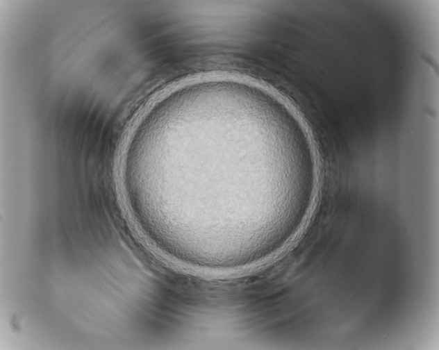X0000103910595200810171707