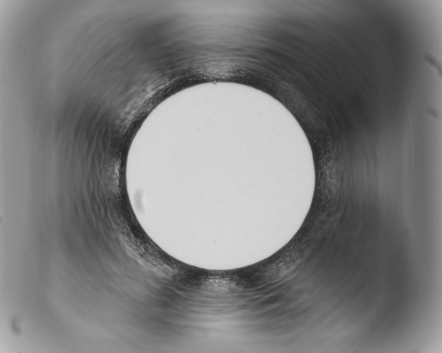 X0000103910596200810171707