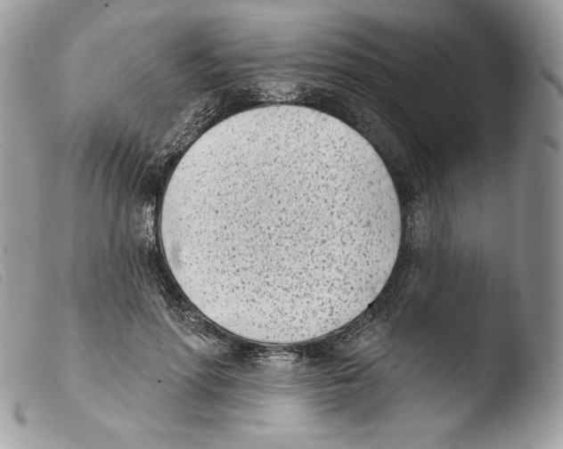 X0000103910598200810171707