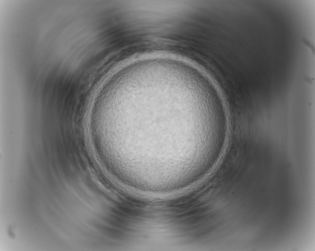 X0000103910599200810171707