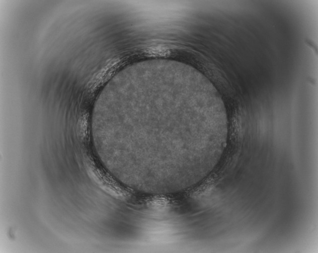 X0000103910600200810171707