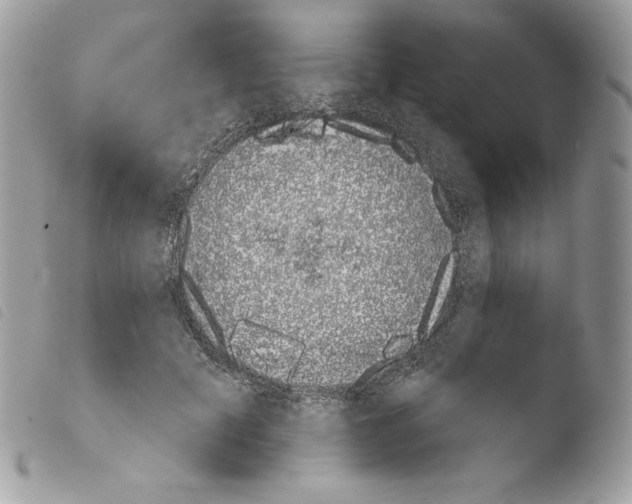 X0000103910601200810171707
