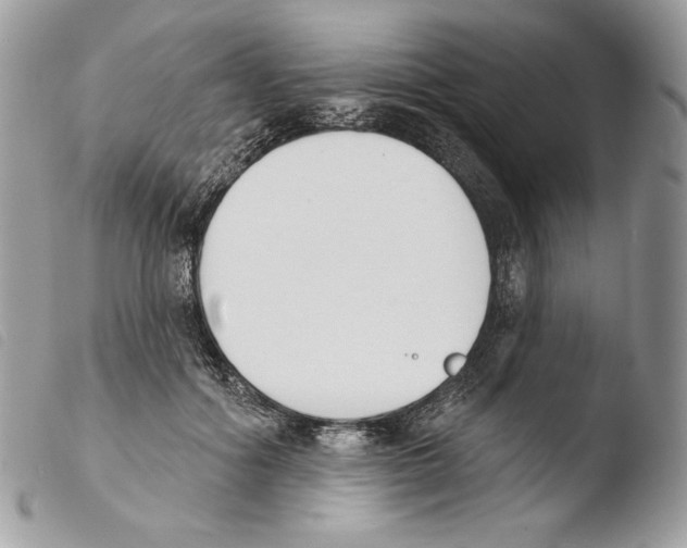X0000103910602200810171707