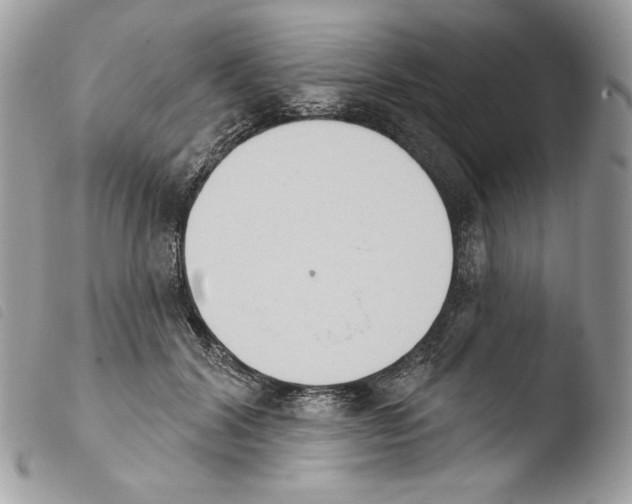X0000103910604200810171707